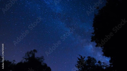 Beautiful night stars Milky way time lapse with forest trees foreground photo