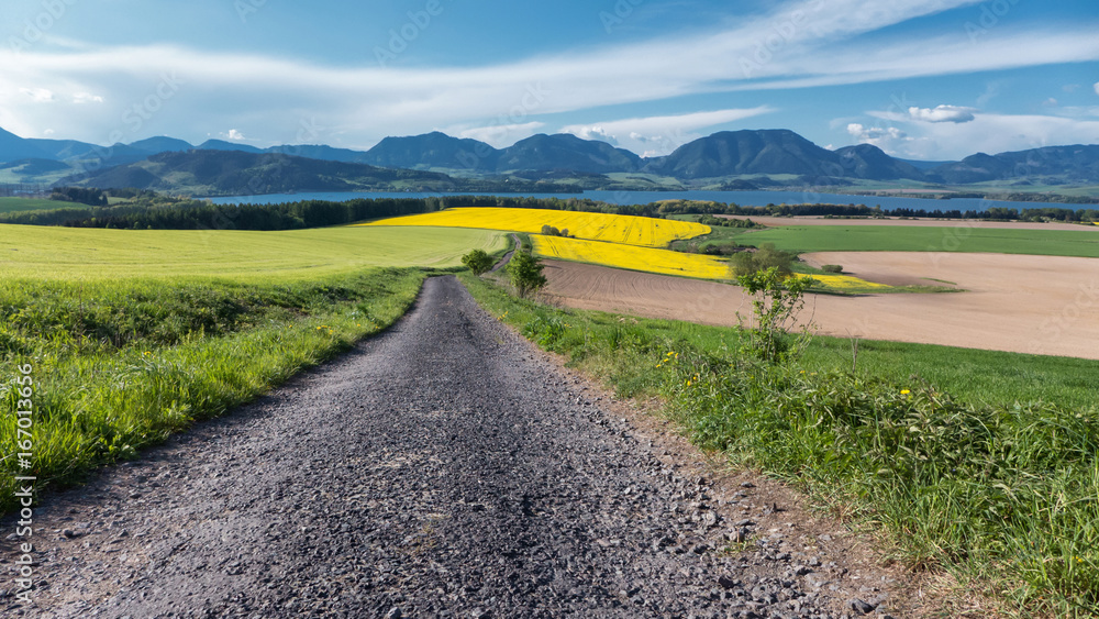 Naklejka premium Beautiful spring country in Slovakia