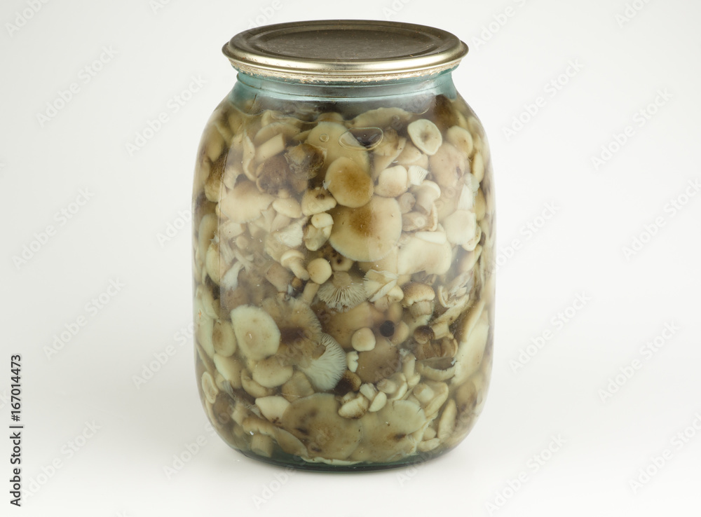 Forest mushrooms are pickled Forest mushrooms are pickled