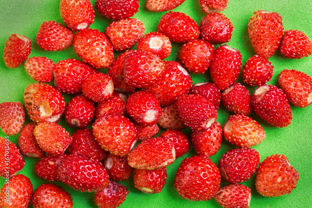 Wild strawberry Wild strawberry