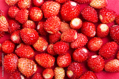 Wild strawberry