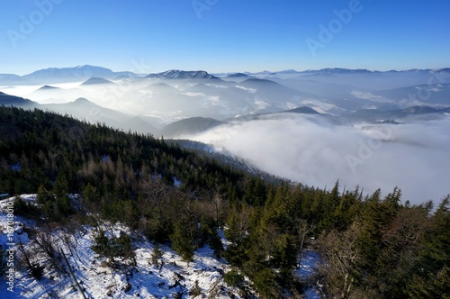 Winterlandschaft im Hochnebel in den Bergen