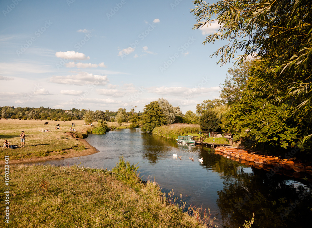 a summer scene in dedham with the river stour, swans, boats, and people relaxing and walking a summer scene in dedham with the river stour, swans, boats, and people relaxing and walking