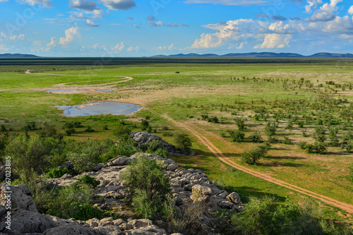 Namibia Etosha national park waterhole