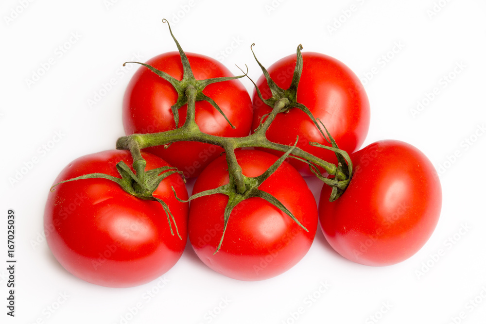 Tomaten auf weißem Hintergrund Tomaten auf weißem Hintergrund
