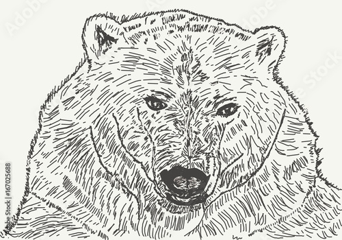 Рисунок медведя.