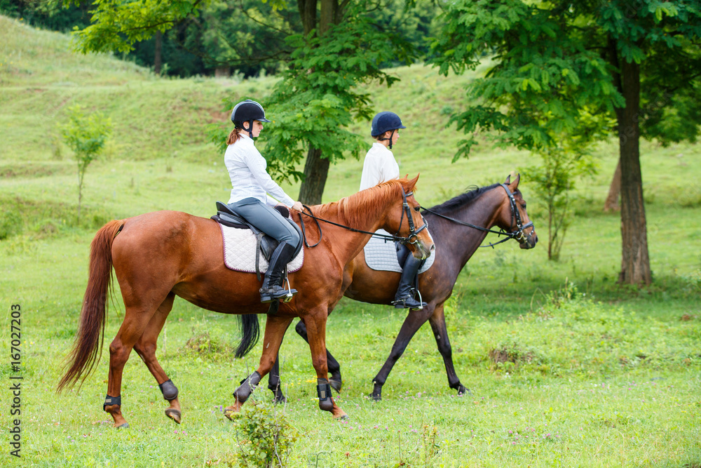 Two young women riding horse in park. Horse walk in summer