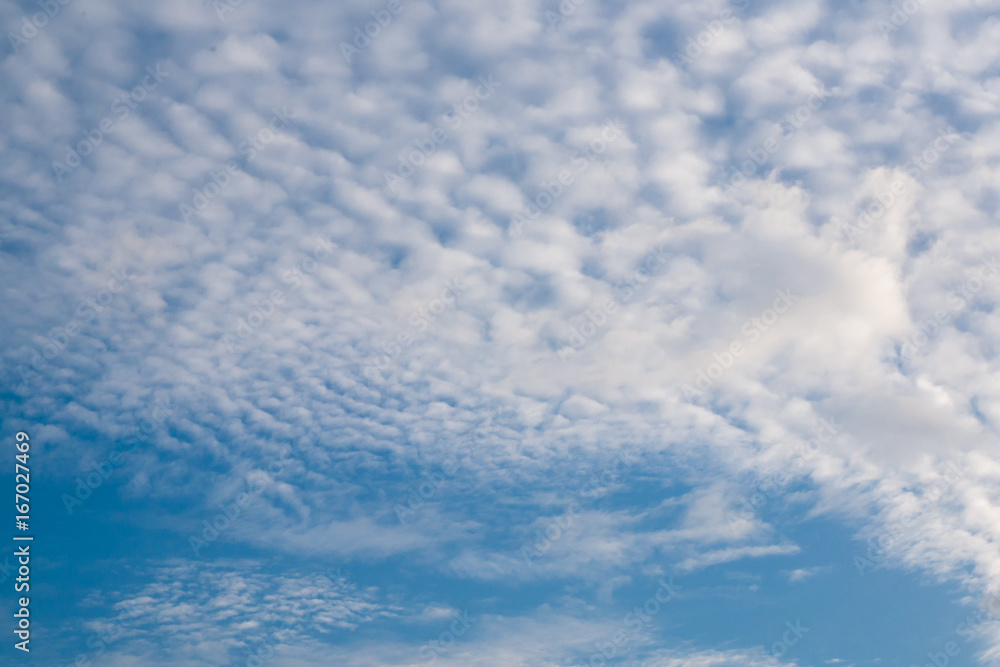 Fototapeta premium Beautiful cloudy blue sky background