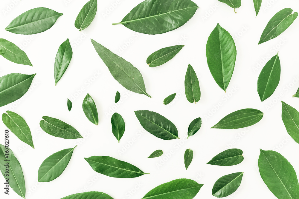 Pattern made of green leaves isolated on white background. Flat lay. Top view