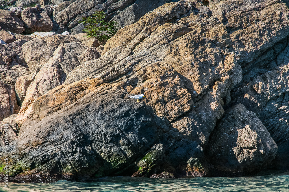 Obraz premium Rocky coast of the Black Sea