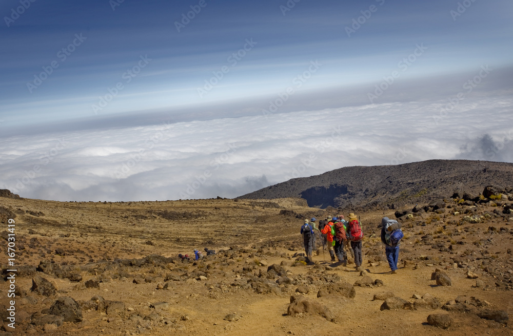 A group of men hiking Mt. Kilimanjaro in Africa with the clouds below them.