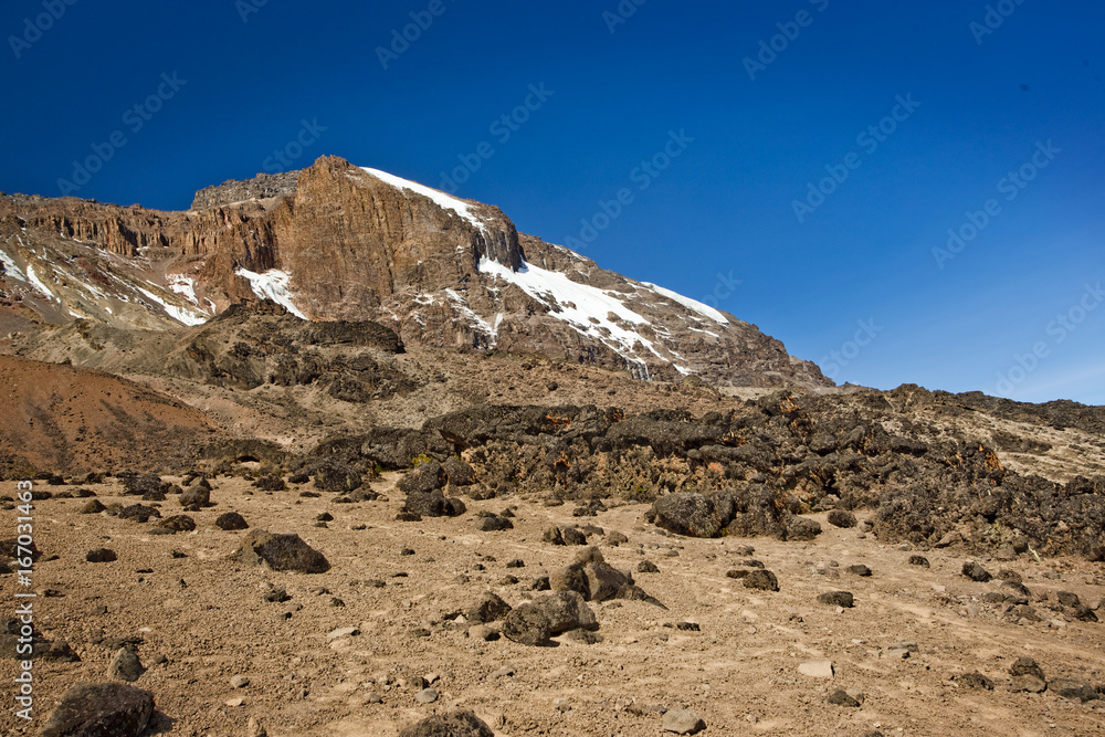 The peak of Mt. Kilimanjaro in Africa, covered with snowcaps.