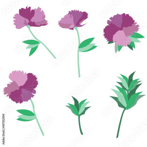 The purple carnation design set. 4 flower and 2 leaf is vector for object.