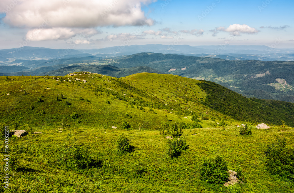 Fototapeta premium picturesque landscape with grassy mountain meadow