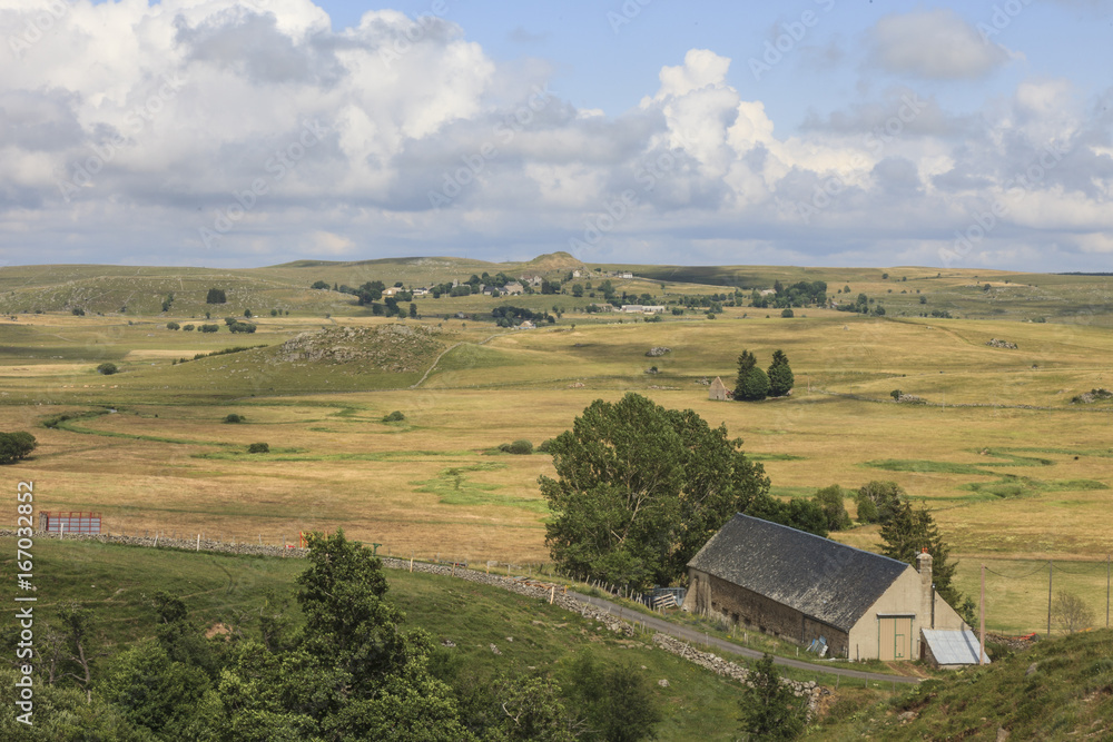 Plateau de l'Aubrac