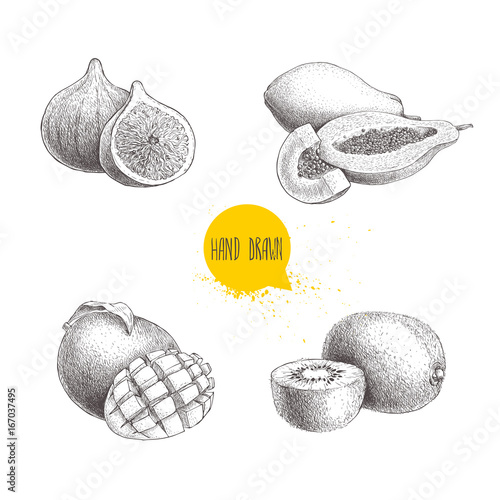 Hand drawn exotic fruits set. Fig fruits, papaya composition, mango with cut and kiwi fruits. Eco food sketch vector collection isolated on white background.