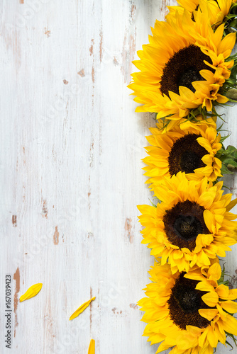 Fototapeta Naklejka Na Ścianę i Meble -  Yellow Sunflower Bouquet on White Rustic Background