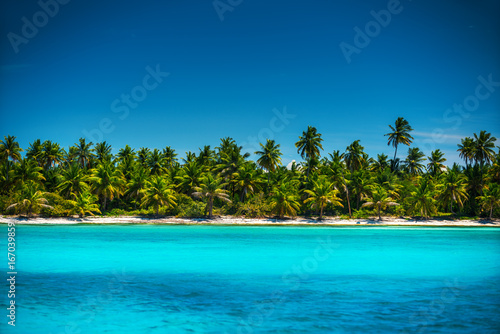 Palm trees on the tropical island beach, Punta Cana