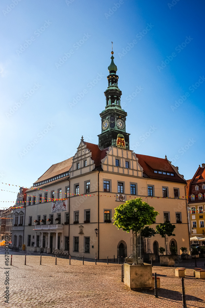 Obraz premium City hall and marketplace in Pirna