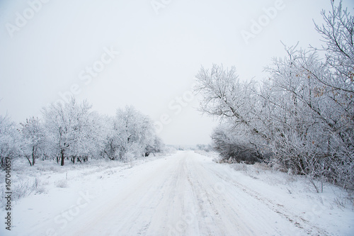 Dirt road in the forest in winter
