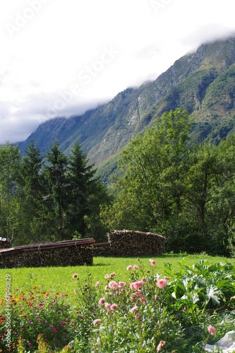 Bauerngarten in den Alpen