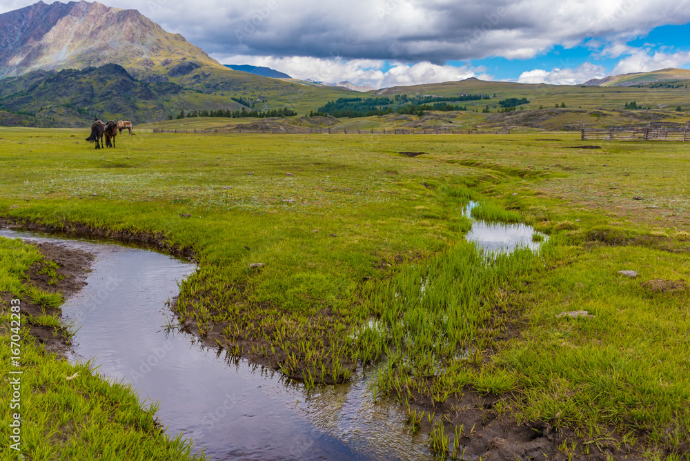 Sumpf im Altai Gebirge Mongolei