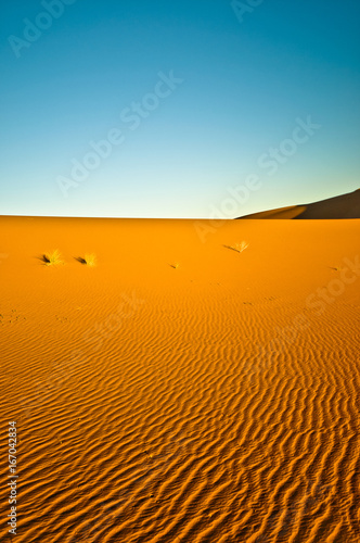 View on dunes in the Sahara desert of Morocco