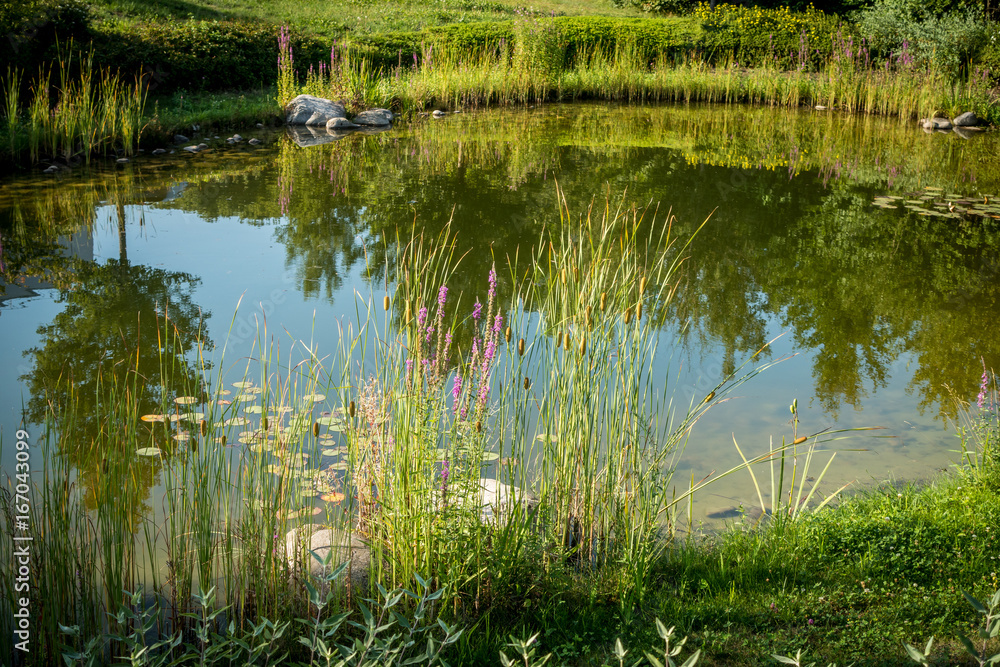 Obraz premium Kleiner Teich
