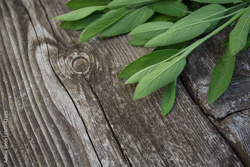 sage on wooden surface