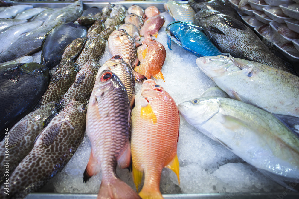 Poisson Ume Photo & Art Print poissons dans un marché en polynésie, tahiti, Fly_and ...
