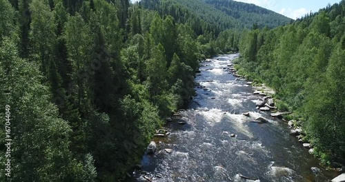 Mountain forest river