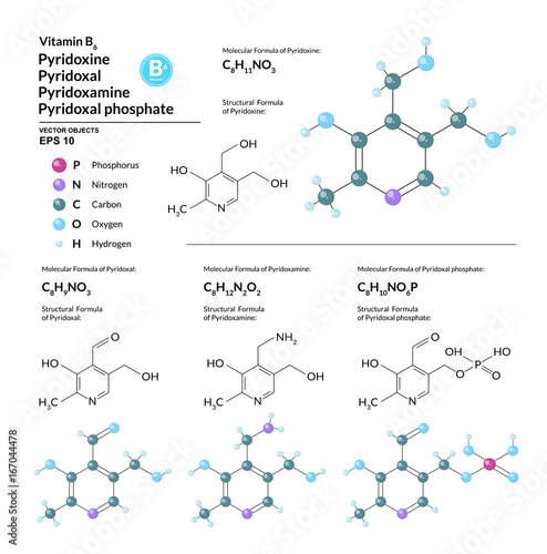 Structural chemical molecular formula and model of Vitamin B6. Atoms are represented as spheres with color coding isolated on background. 2d, 3d visualization and skeletal formula. Vector illustration
