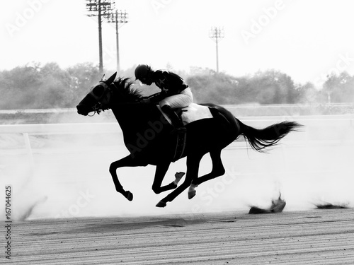 Fototapeta Naklejka Na Ścianę i Meble -  サラブレット