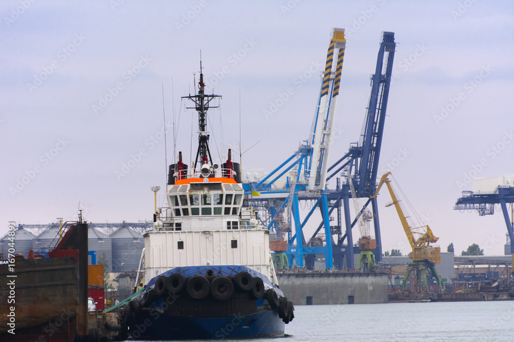 Fototapeta premium Tower cranes in the merchant seaport of Odessa in the evening of July 12, 2017