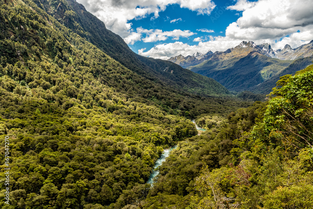 Fototapeta premium Fiordland National Park