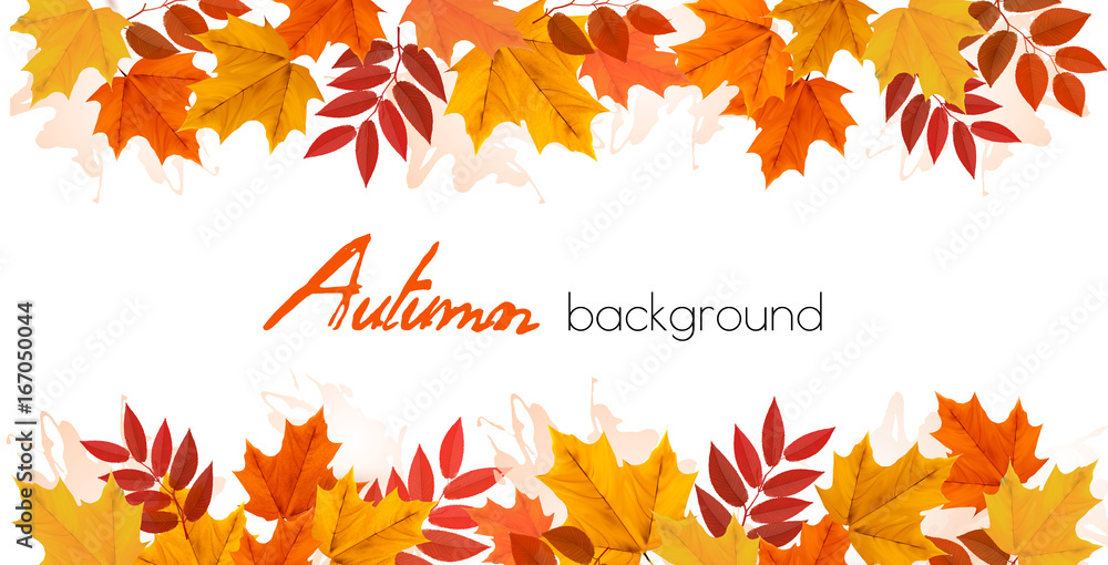 Fototapeta premium Fall Autumn Colorful Leaves Background. Vector.