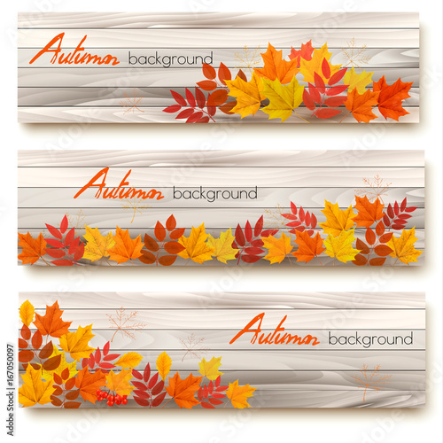Set of three vector banners with colorful autumn leaves.