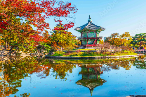Gyeongbokgung Palace focus dark tones and a maple tree in autumn Korea