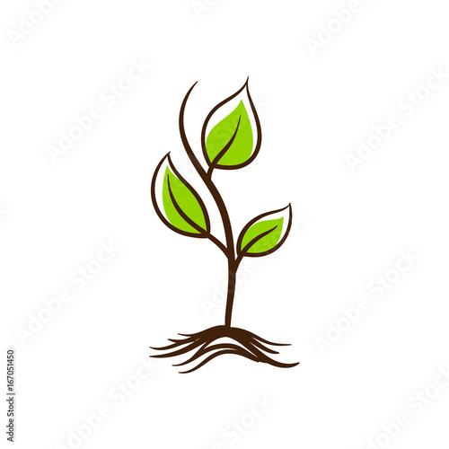 tree growth vector