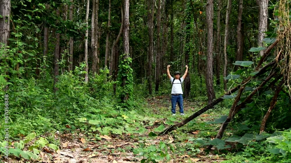 man walking in the forest man walking in the forest