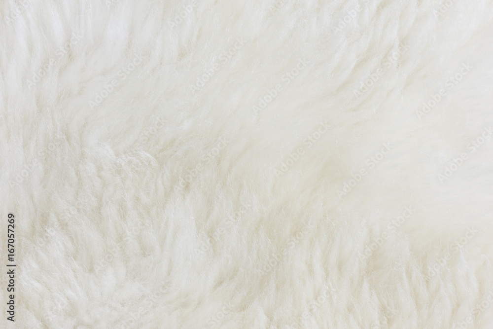 Fur Texture./Fur Texture Fur Texture./Fur Texture