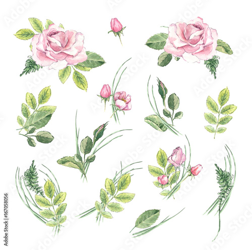Watercolor vintage floral set. Spring or summer decoration floral bohemian design. Watercolor isolated. There are poppy, wheat, rose, lavender.