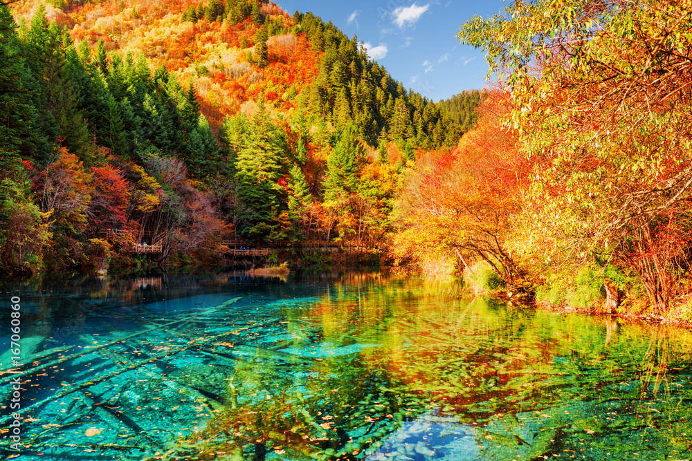 The Five Flower Lake (Multicolored Lake) among autumn forest