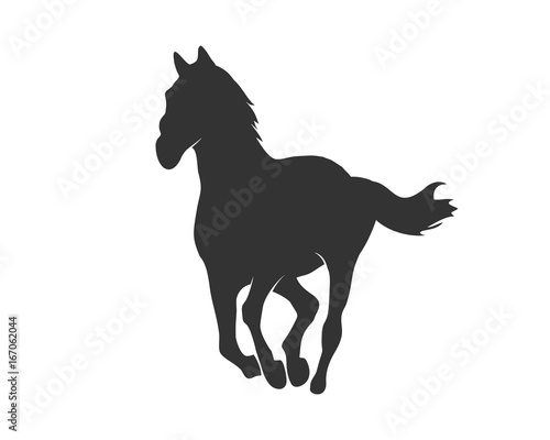 Beautiful Running Front Horse Silhouette