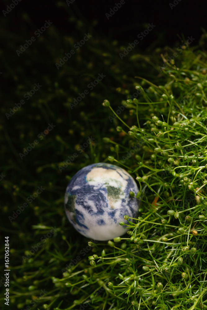 World globe shape of green grass