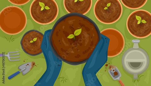 Hands Plant Pot Seedlings