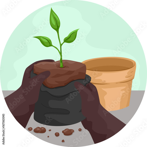 Hands Seedling Transfer Pot