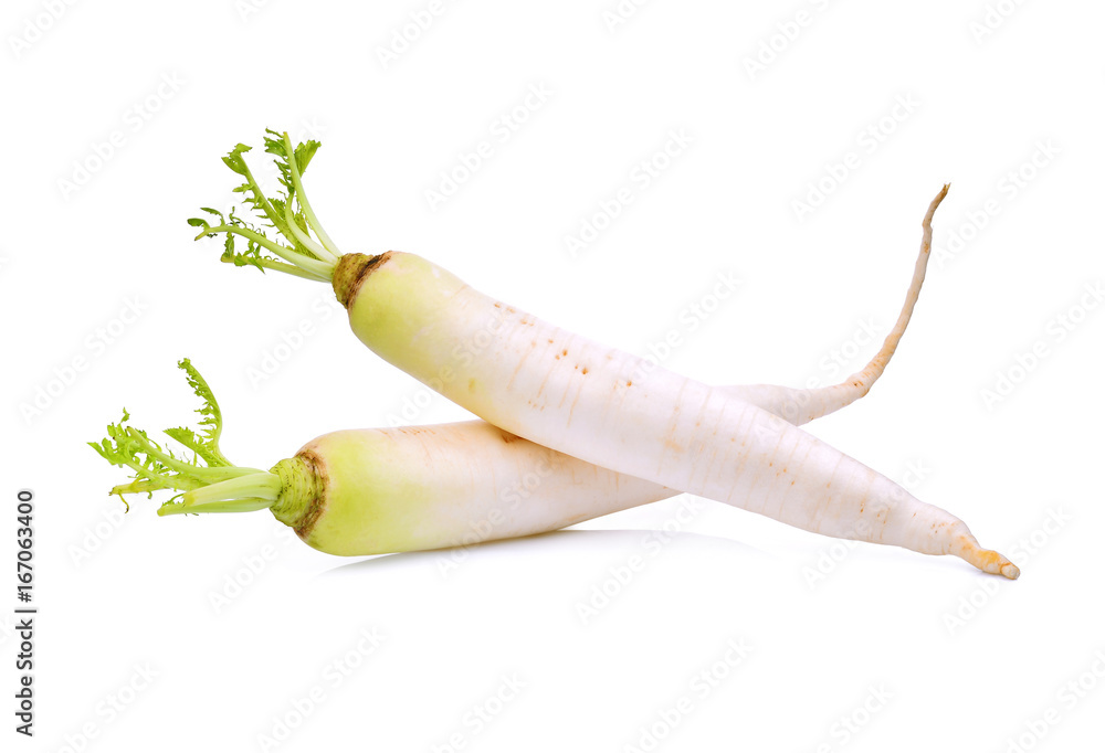two fresh daikon radish isolated on the white background two fresh daikon radish isolated on the white background
