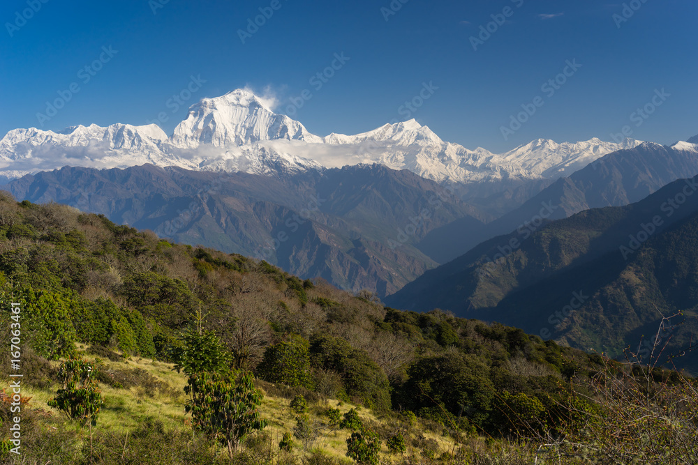 Dhaulagiri mountain peak view from Ghorepani village, ABC, Pokhara, Nepal Dhaulagiri mountain peak view from Ghorepani village, ABC, Pokhara, Nepal