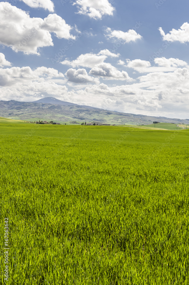 Fields, pastures and farmhouse